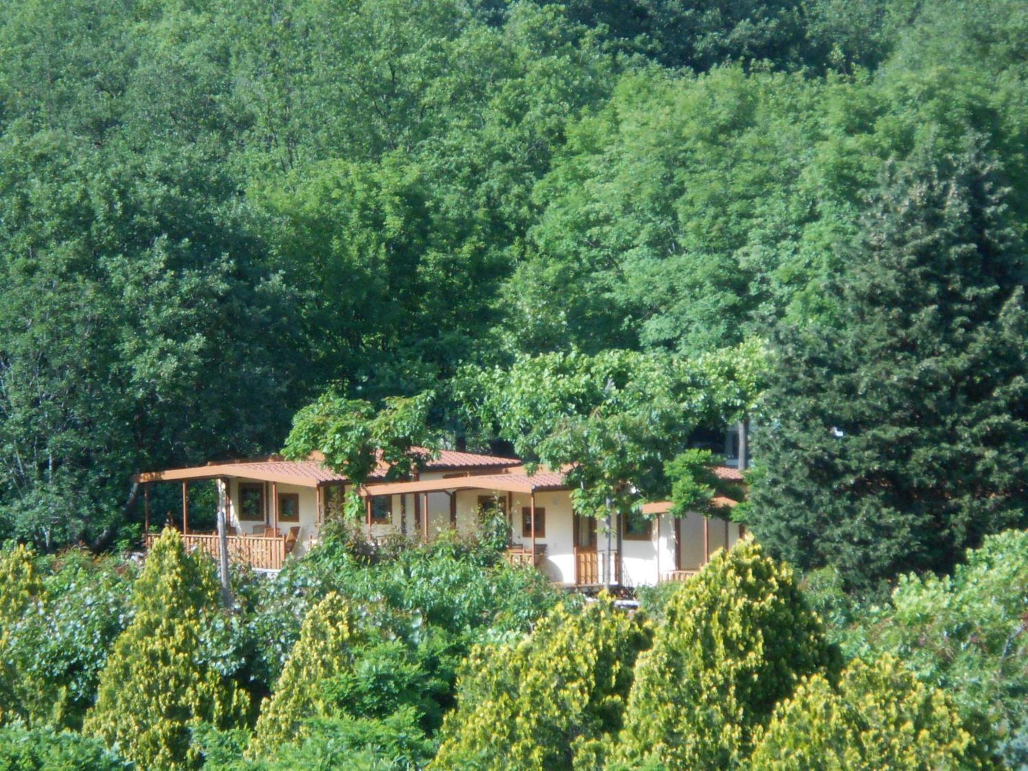 Campeggio Pian Dei Boschi Pietra Ligure Exterior foto